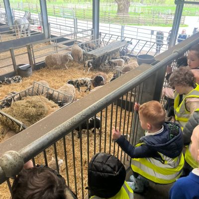 Nursery and Reception trip to Cannon Hall Farm